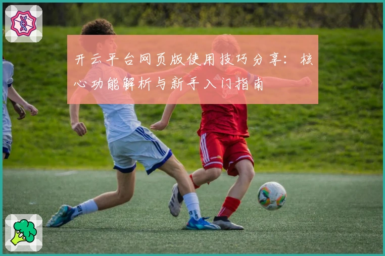 开云平台网页版使用技巧分享:核心功能解析与新手入门指南