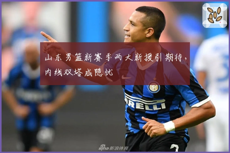 山东男篮新赛季两大新援引期待，内线双塔成隐忧